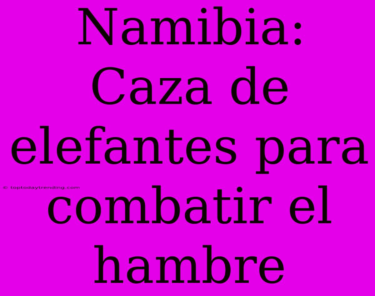 Namibia: Caza De Elefantes Para Combatir El Hambre