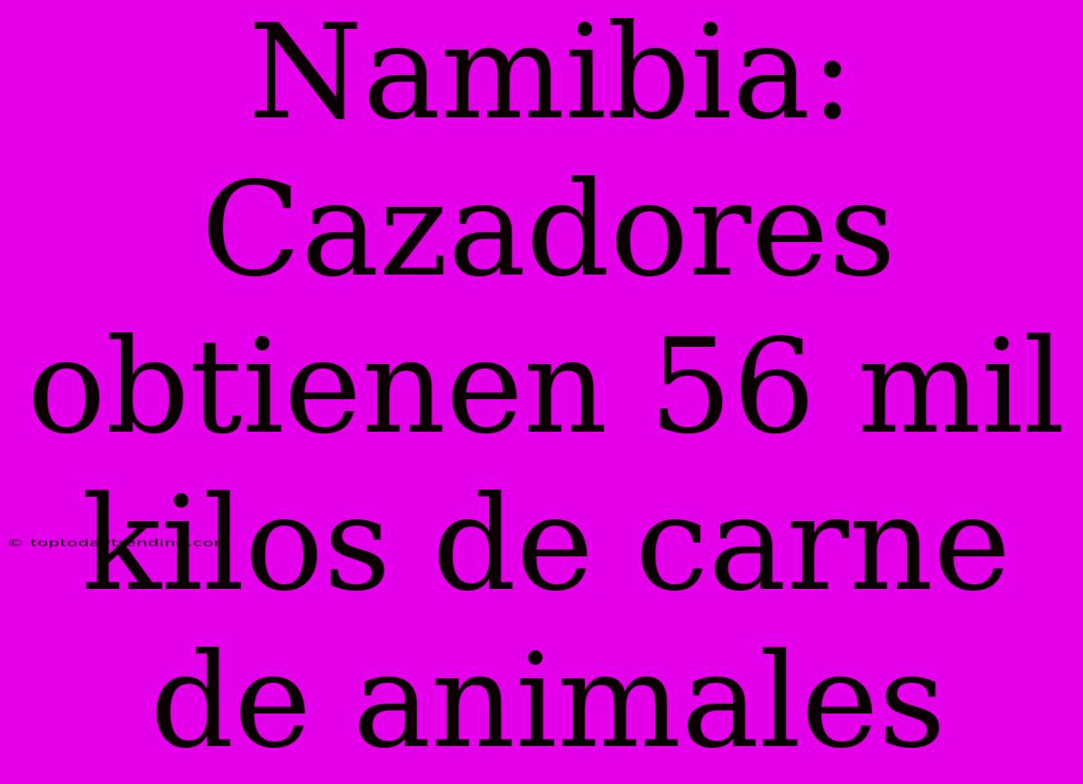 Namibia: Cazadores Obtienen 56 Mil Kilos De Carne De Animales