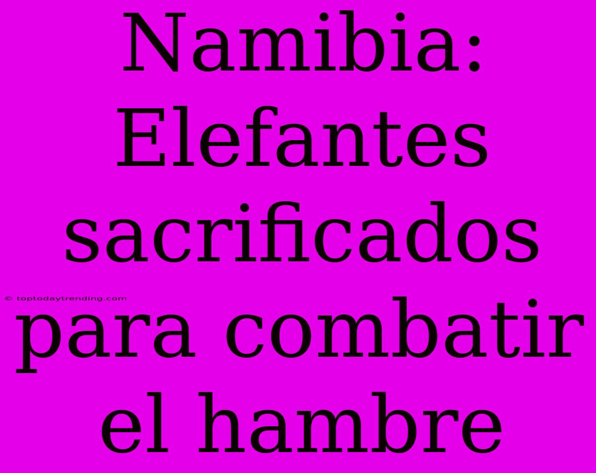 Namibia: Elefantes Sacrificados Para Combatir El Hambre