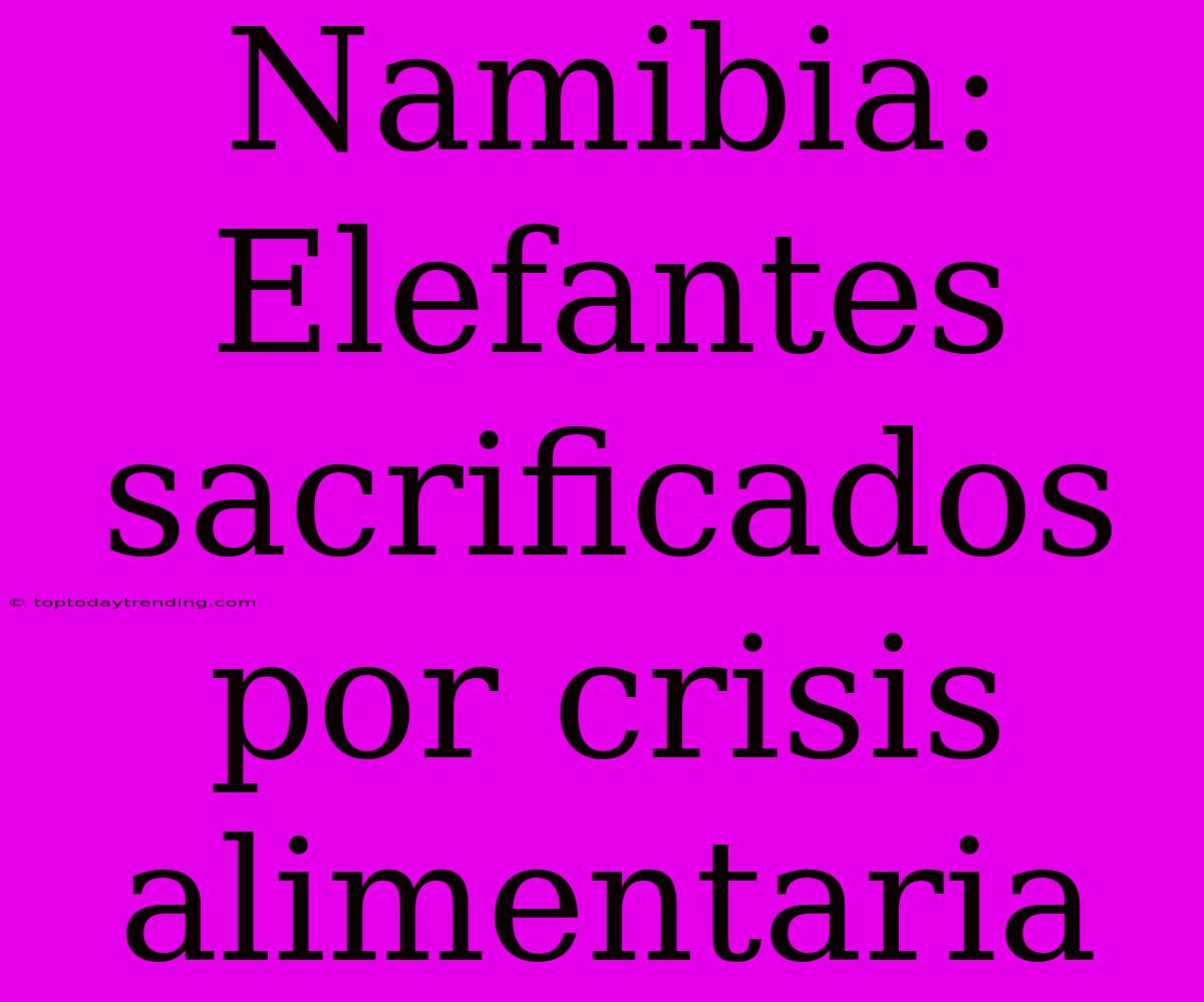 Namibia: Elefantes Sacrificados Por Crisis Alimentaria