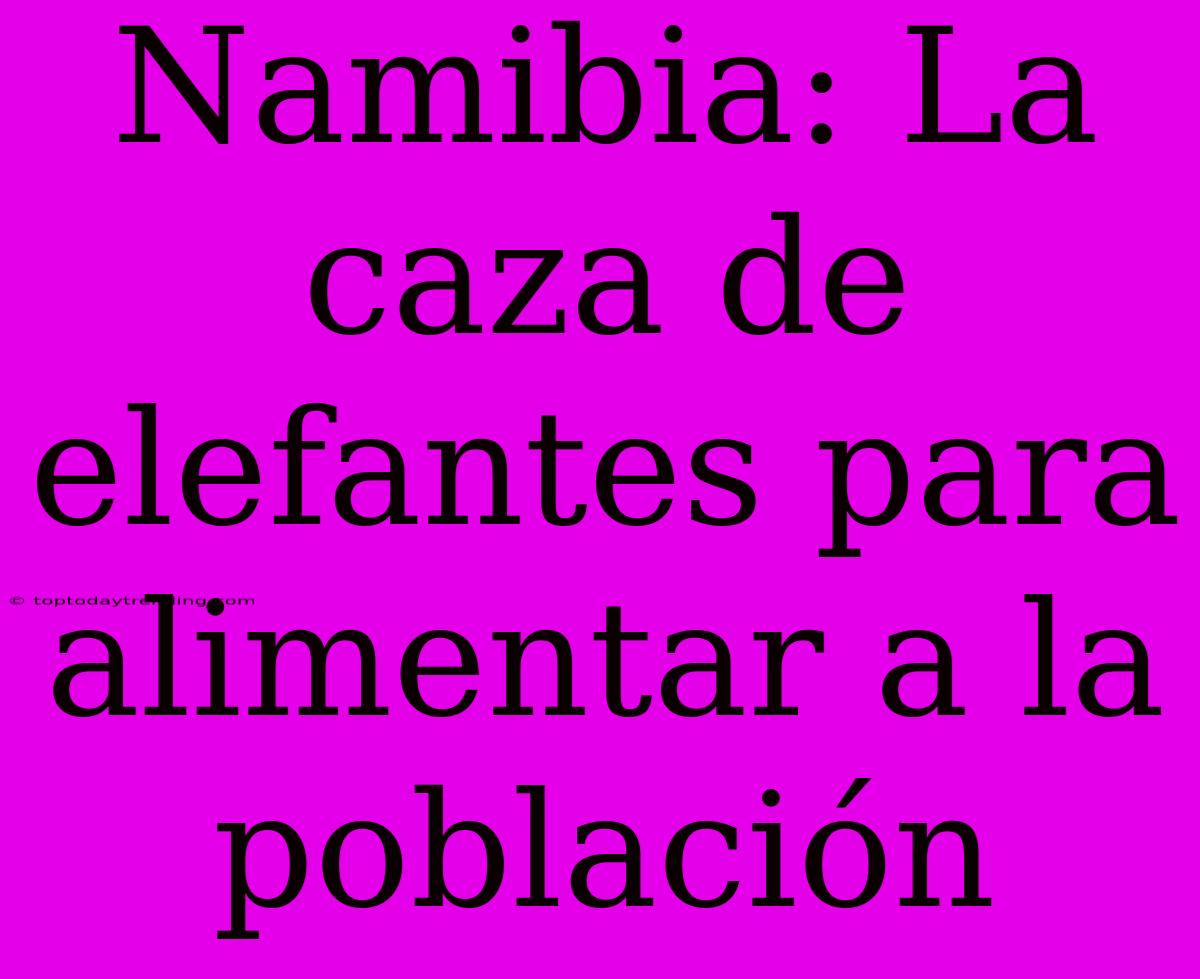 Namibia: La Caza De Elefantes Para Alimentar A La Población