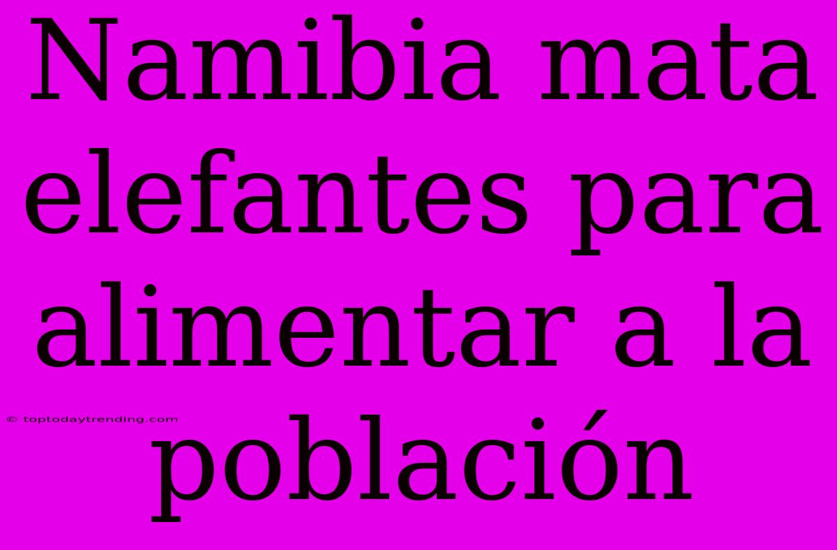 Namibia Mata Elefantes Para Alimentar A La Población