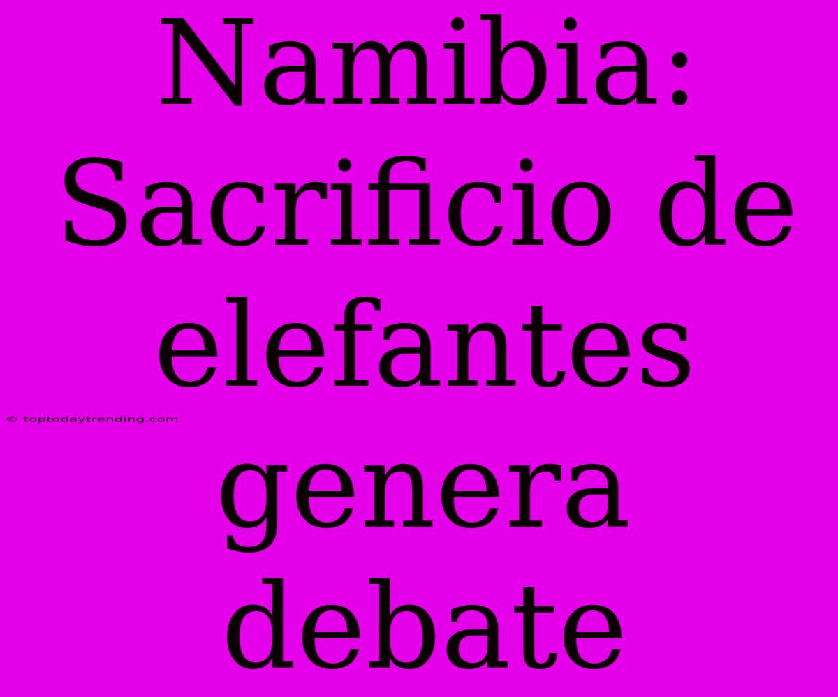 Namibia: Sacrificio De Elefantes Genera Debate