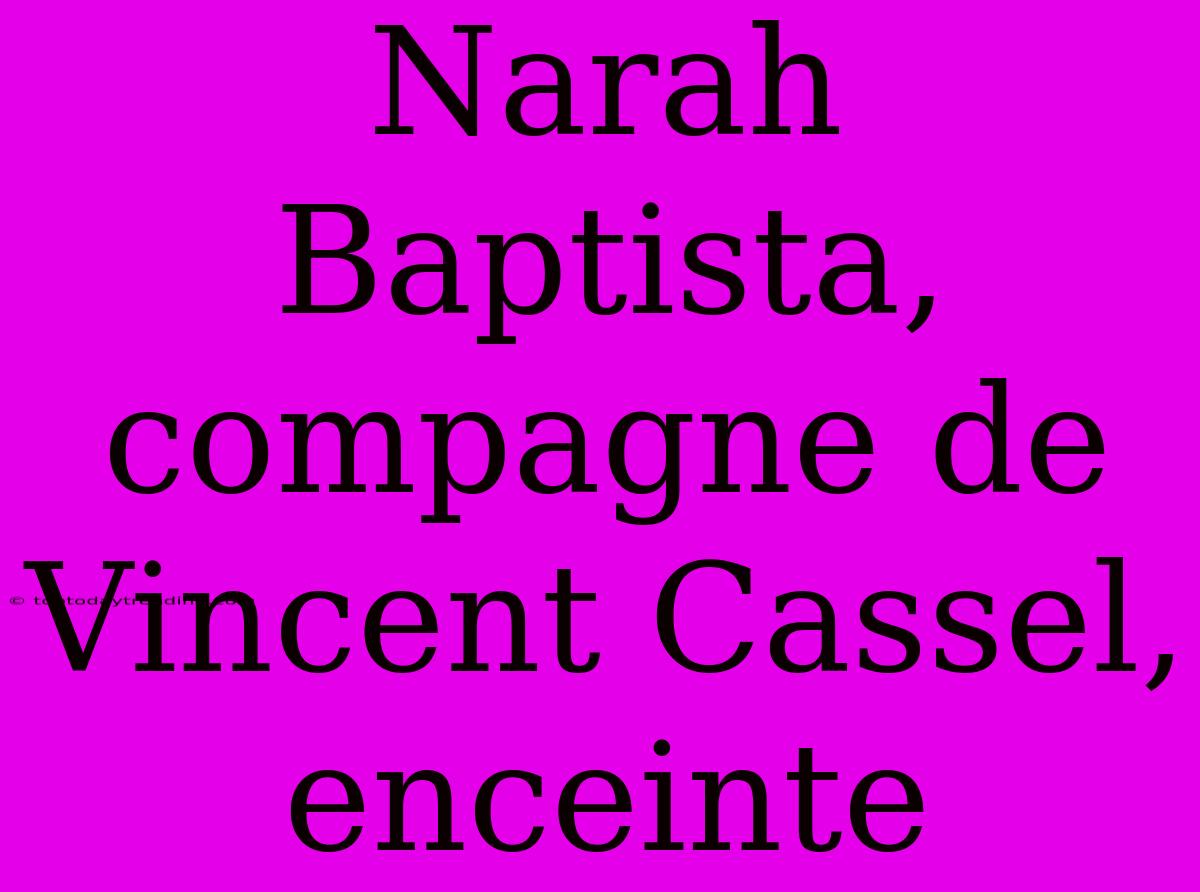 Narah Baptista, Compagne De Vincent Cassel, Enceinte