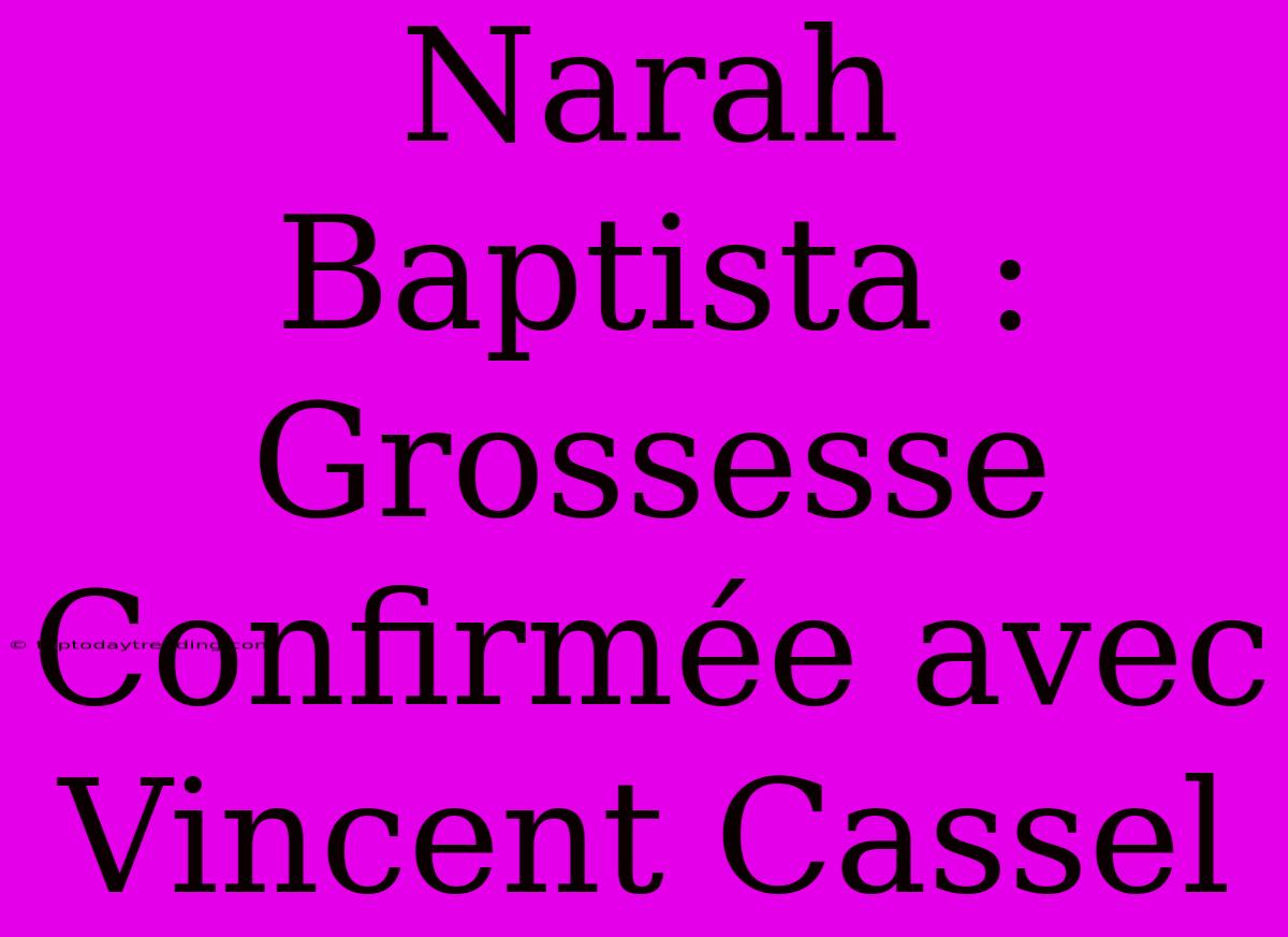 Narah Baptista : Grossesse Confirmée Avec Vincent Cassel