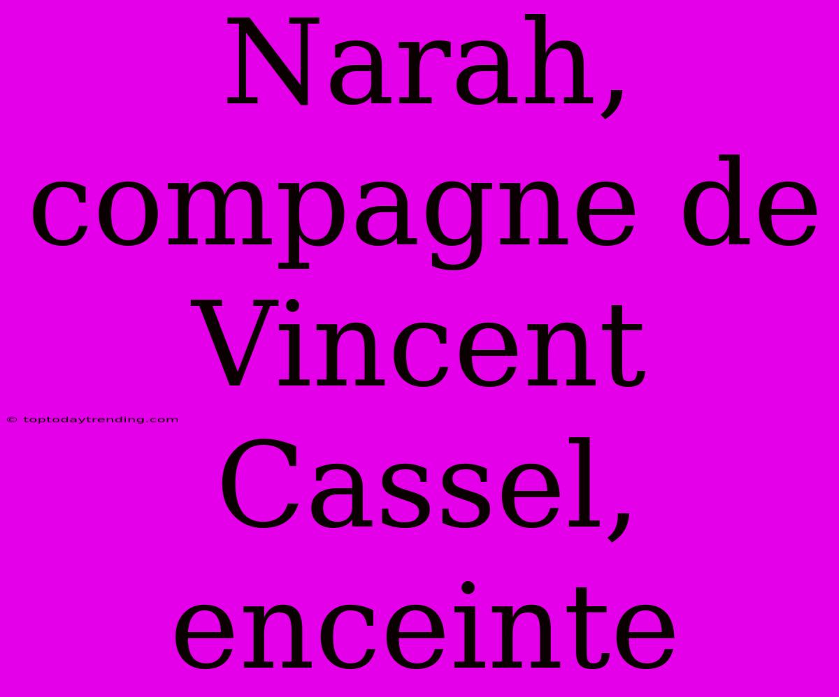 Narah, Compagne De Vincent Cassel, Enceinte