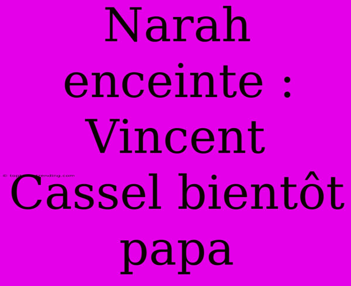 Narah Enceinte : Vincent Cassel Bientôt Papa