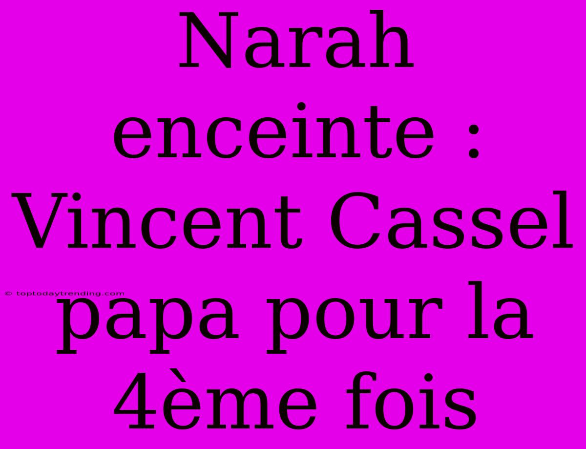 Narah Enceinte : Vincent Cassel Papa Pour La 4ème Fois