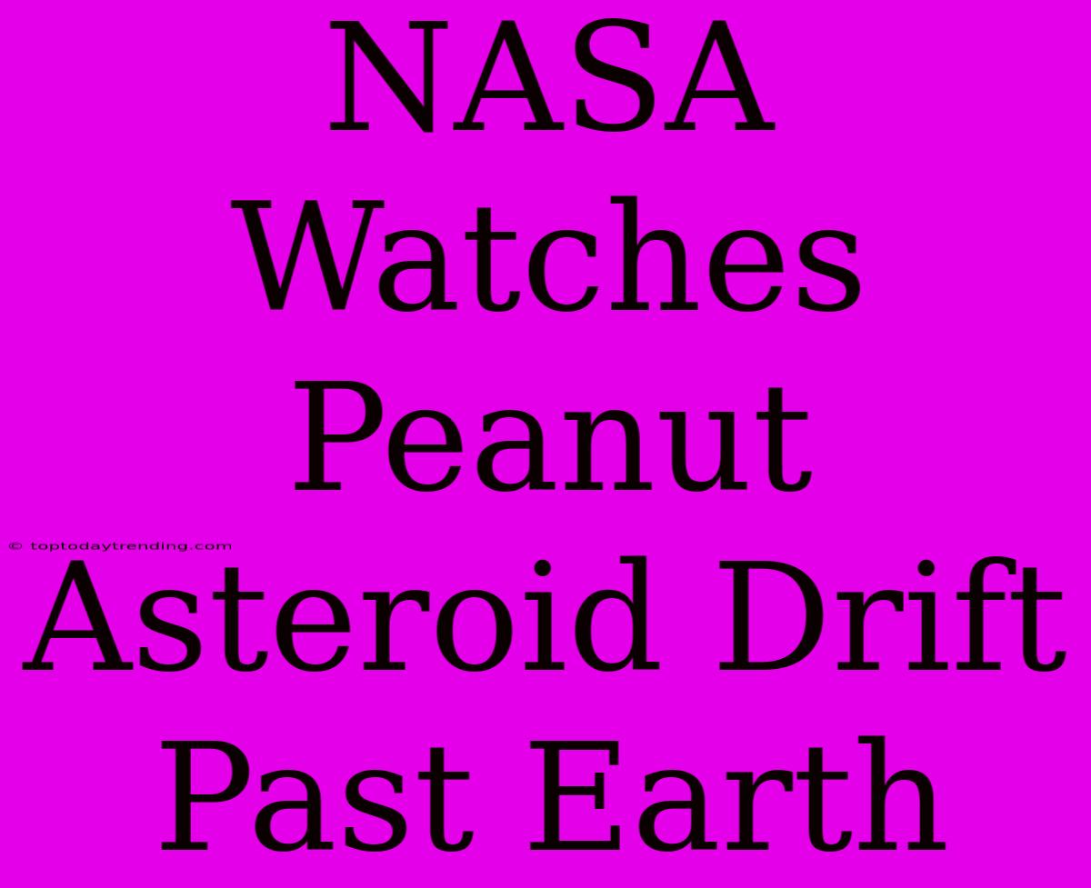 NASA Watches Peanut Asteroid Drift Past Earth