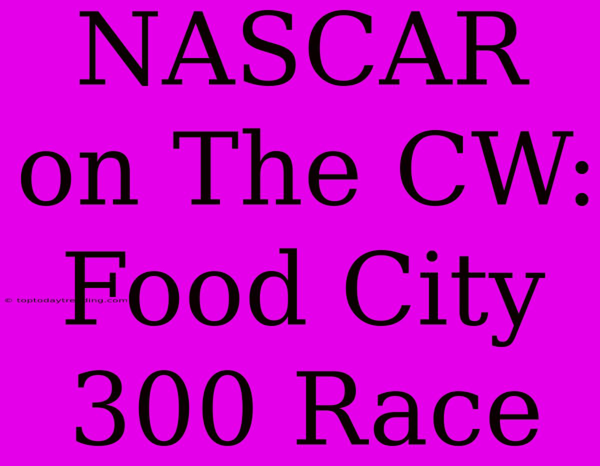 NASCAR On The CW: Food City 300 Race