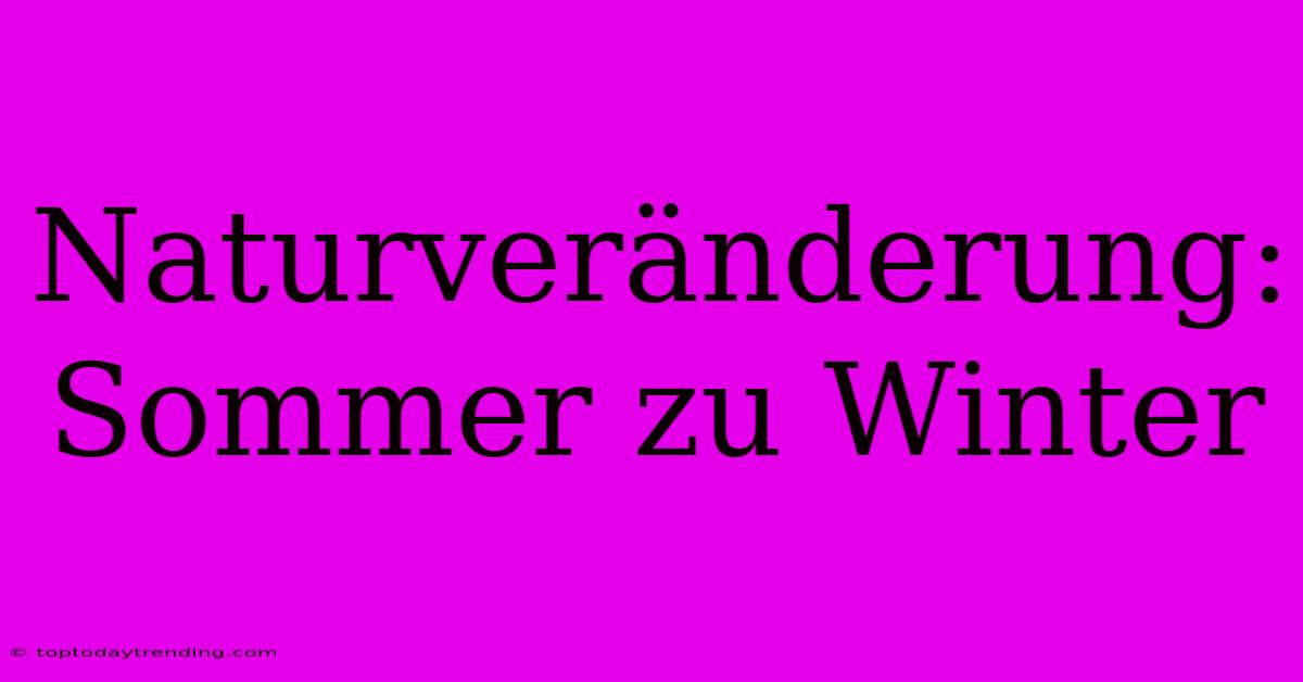 Naturveränderung: Sommer Zu Winter