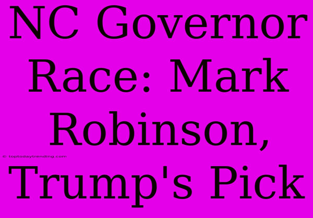 NC Governor Race: Mark Robinson, Trump's Pick