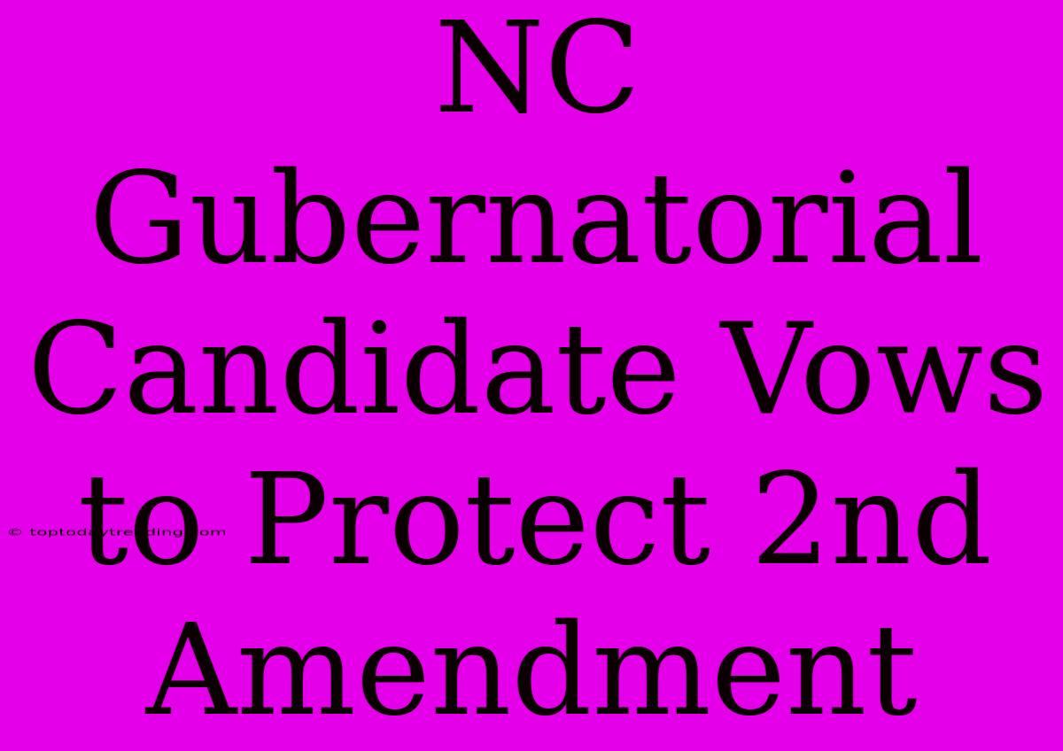 NC Gubernatorial Candidate Vows To Protect 2nd Amendment