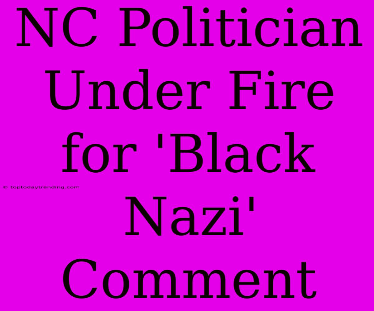 NC Politician Under Fire For 'Black Nazi' Comment