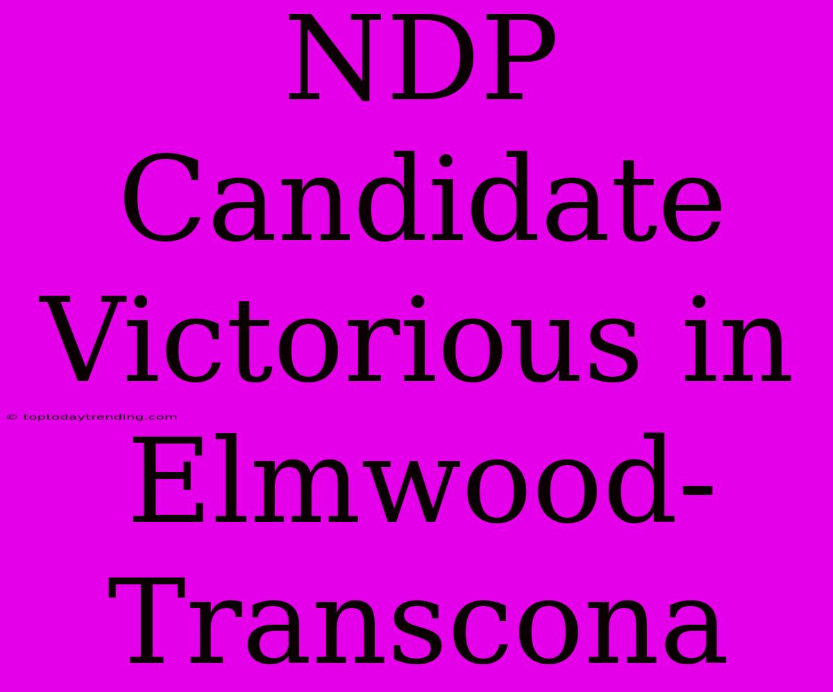 NDP Candidate Victorious In Elmwood-Transcona