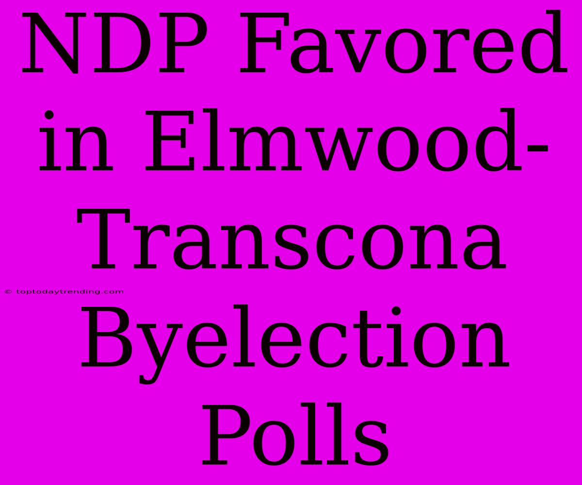 NDP Favored In Elmwood-Transcona Byelection Polls