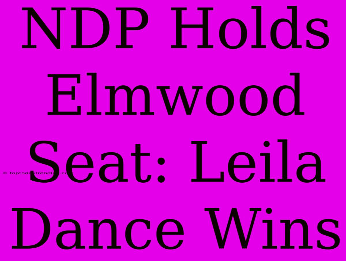 NDP Holds Elmwood Seat: Leila Dance Wins