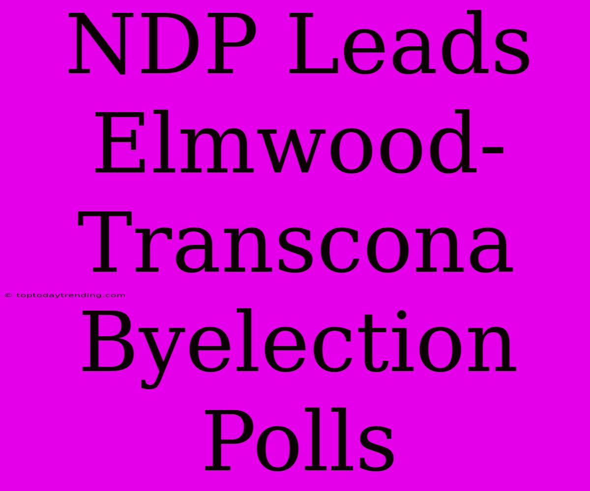 NDP Leads Elmwood-Transcona Byelection Polls