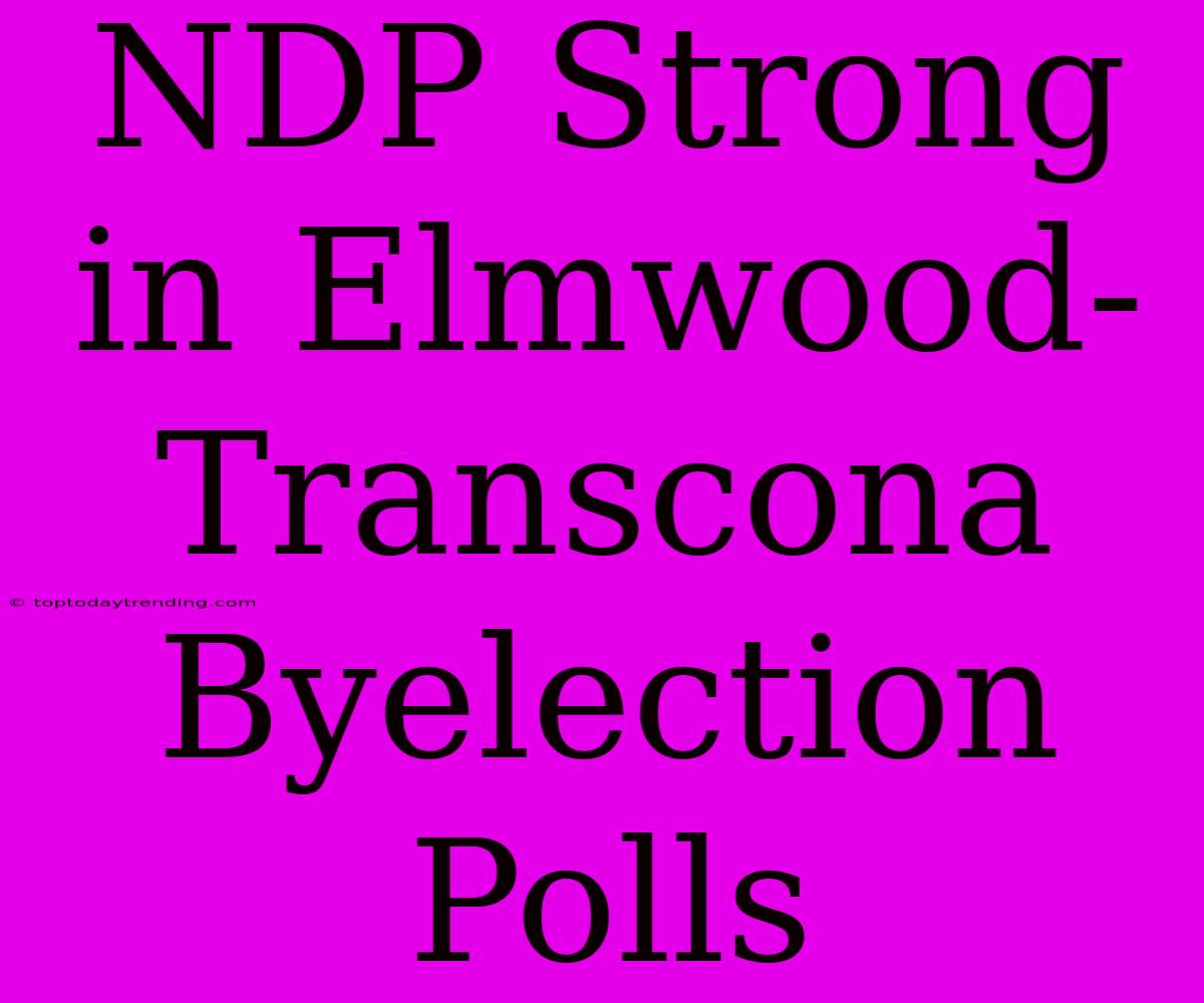 NDP Strong In Elmwood-Transcona Byelection Polls