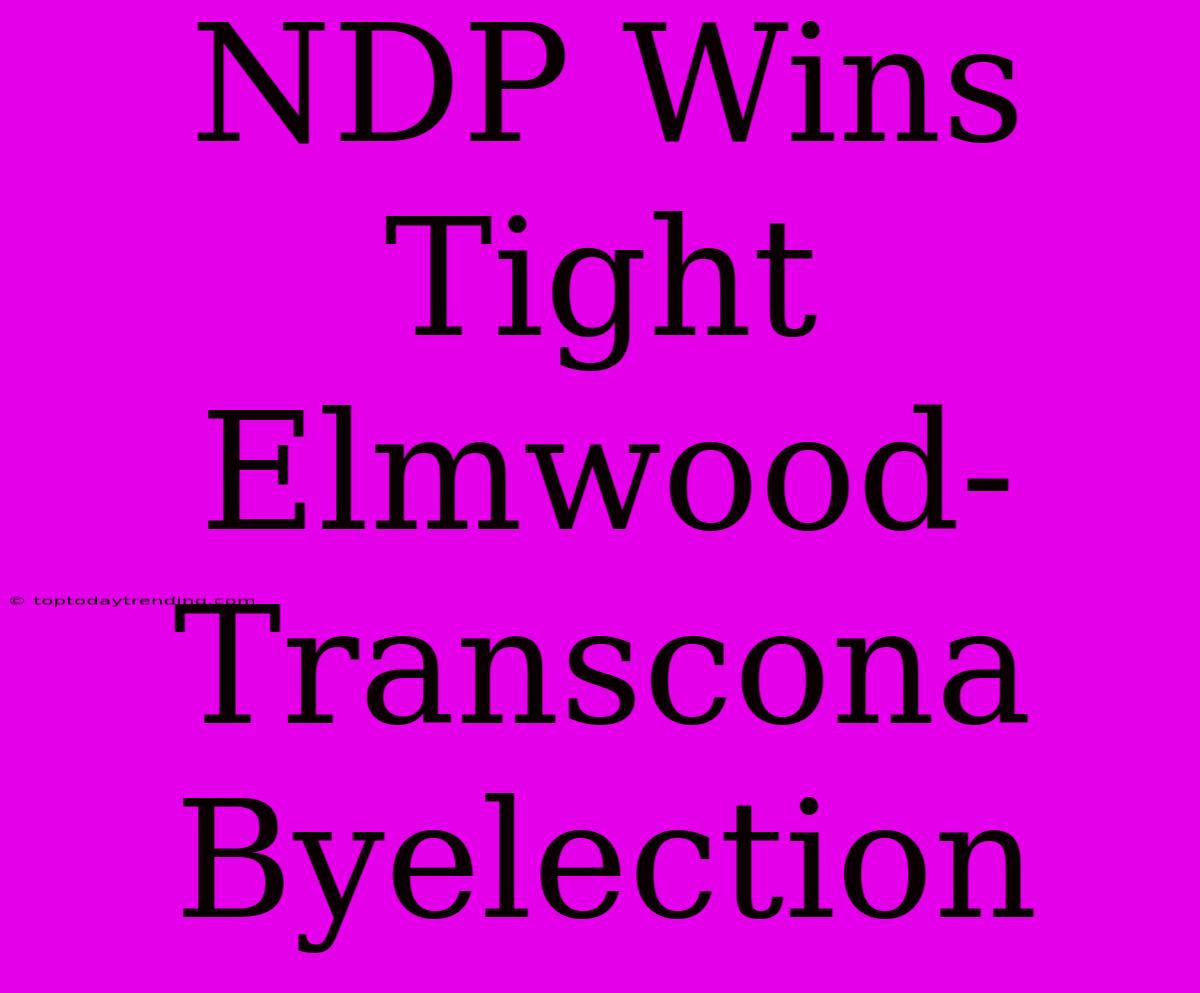 NDP Wins Tight Elmwood-Transcona Byelection