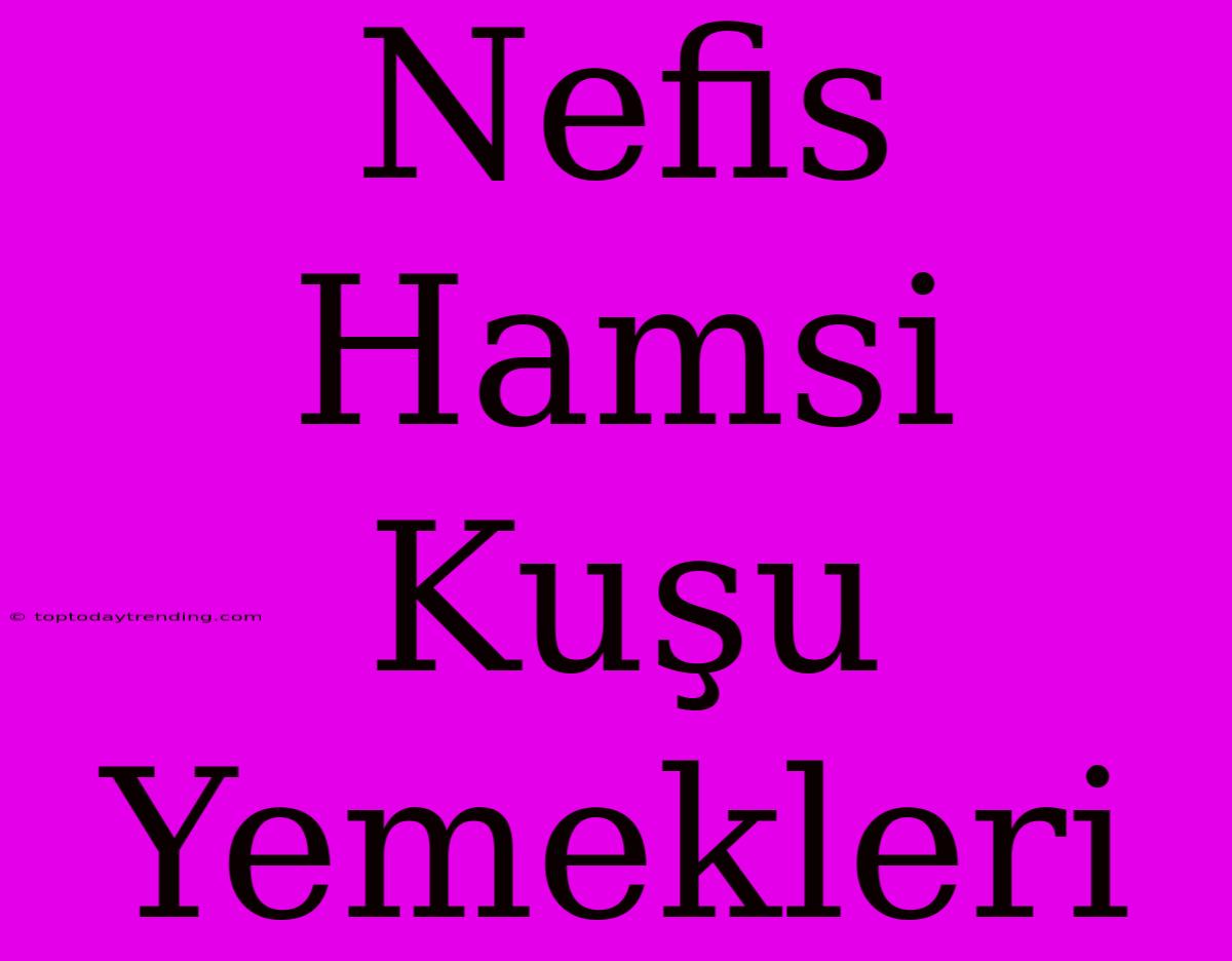 Nefis Hamsi Kuşu Yemekleri