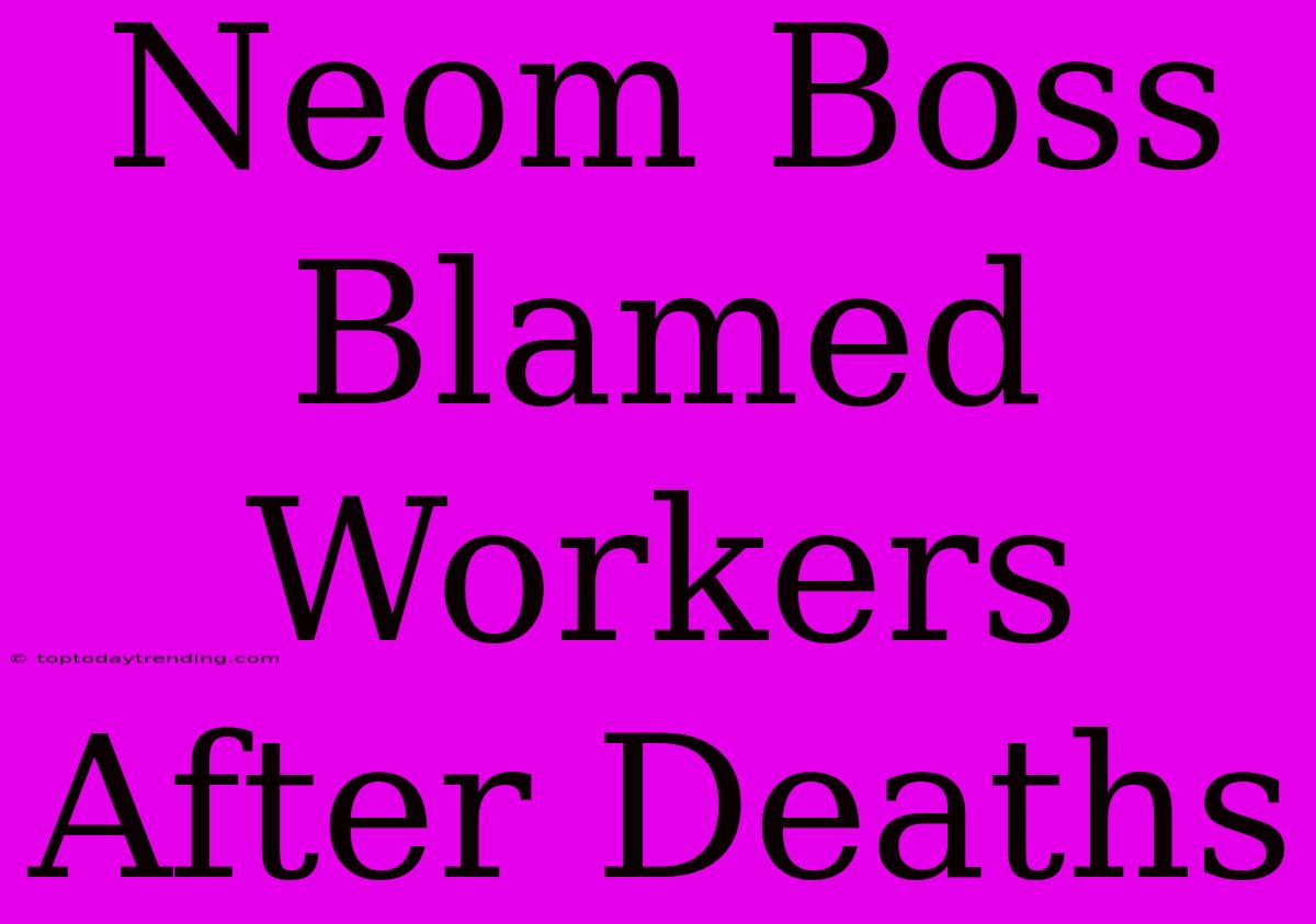 Neom Boss Blamed Workers After Deaths