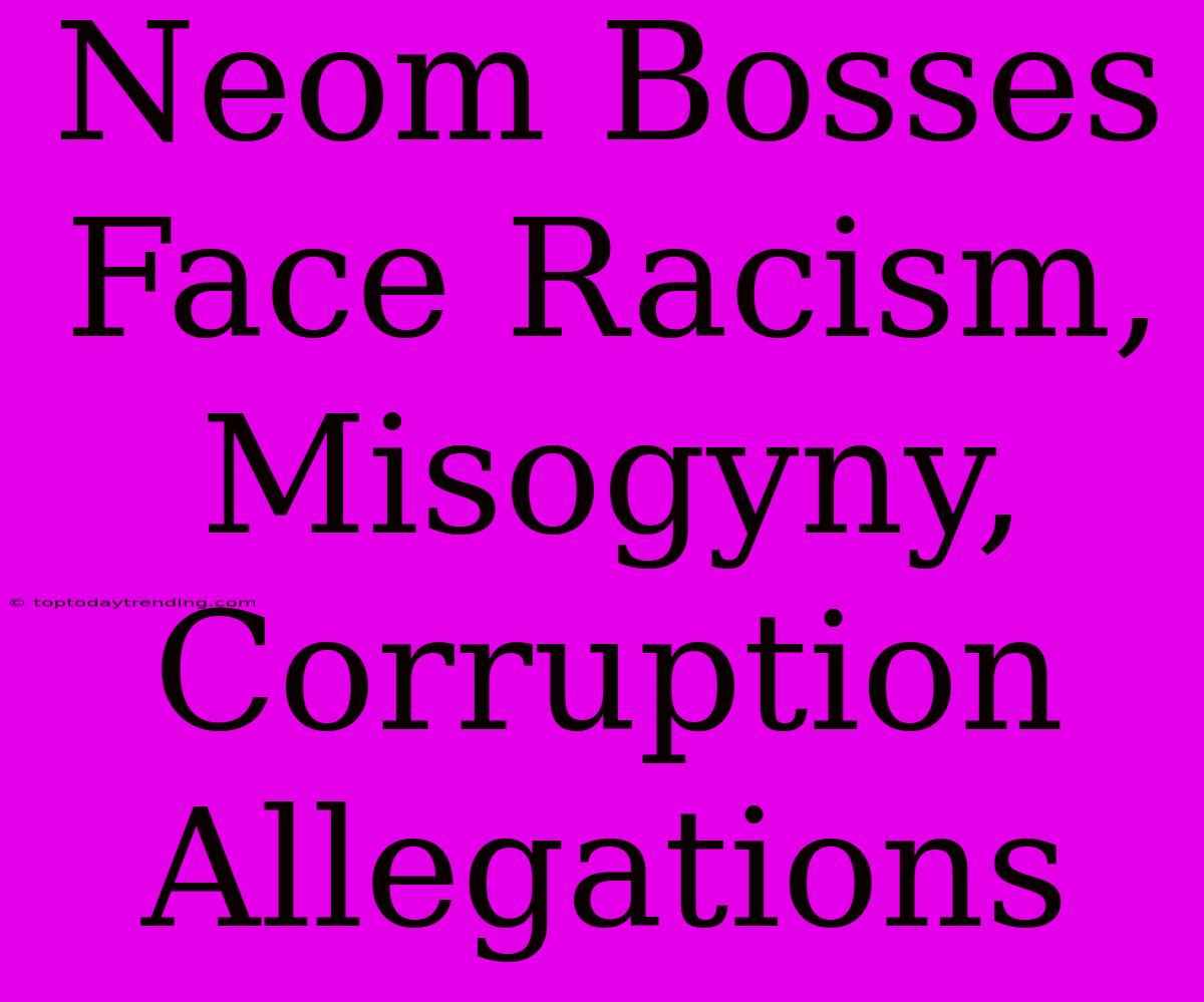 Neom Bosses Face Racism, Misogyny, Corruption Allegations