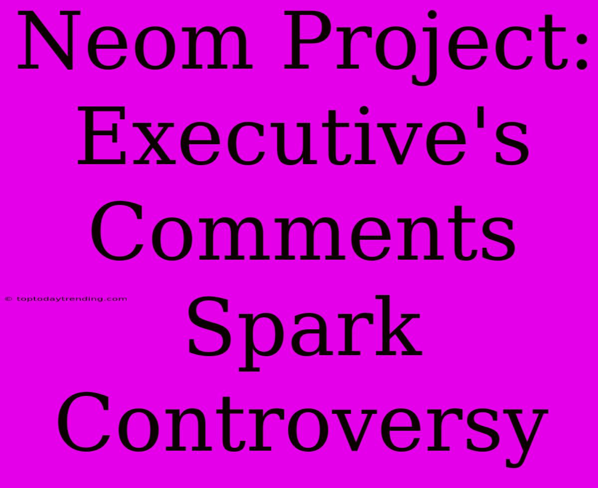 Neom Project: Executive's Comments Spark Controversy