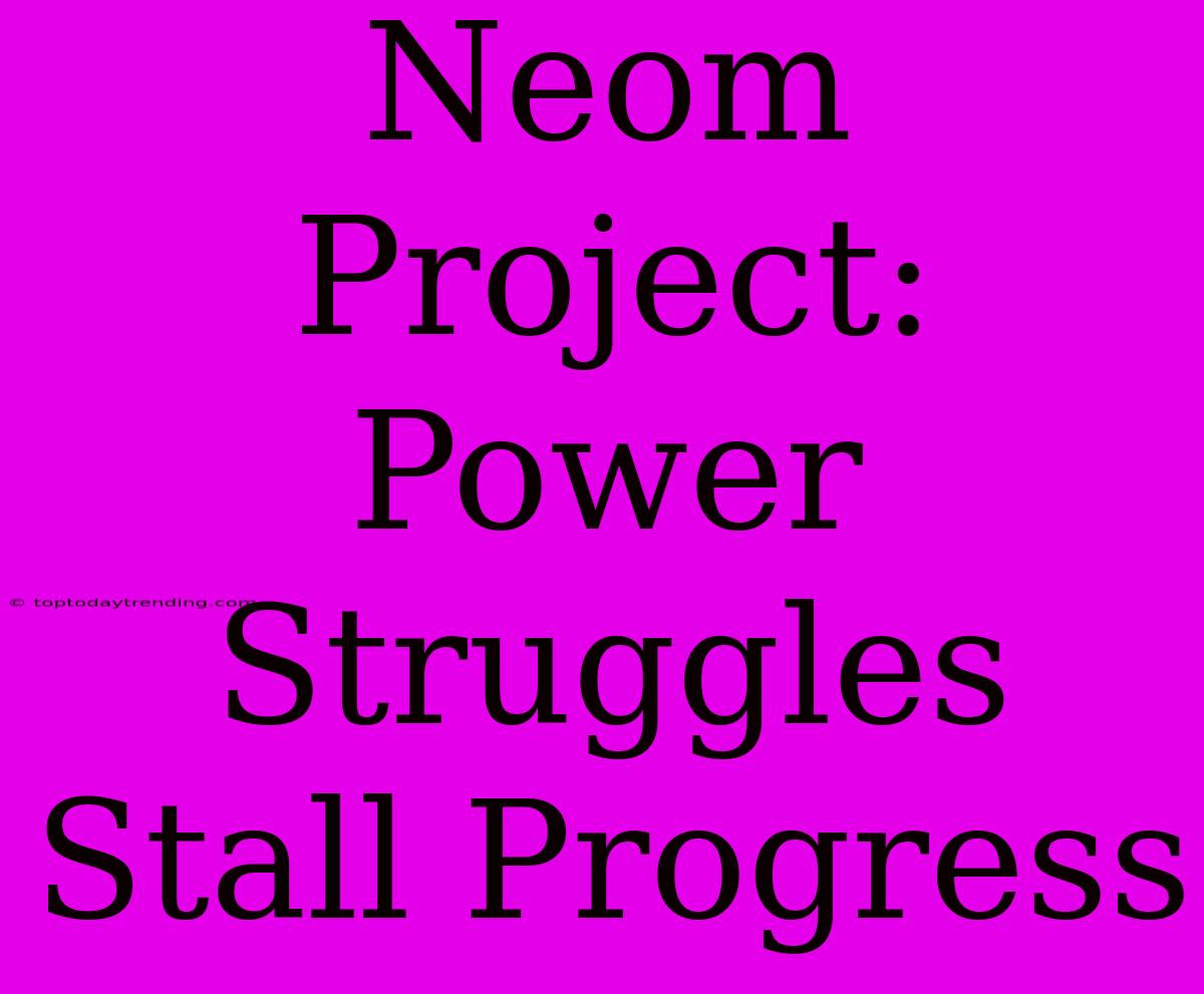 Neom Project: Power Struggles Stall Progress