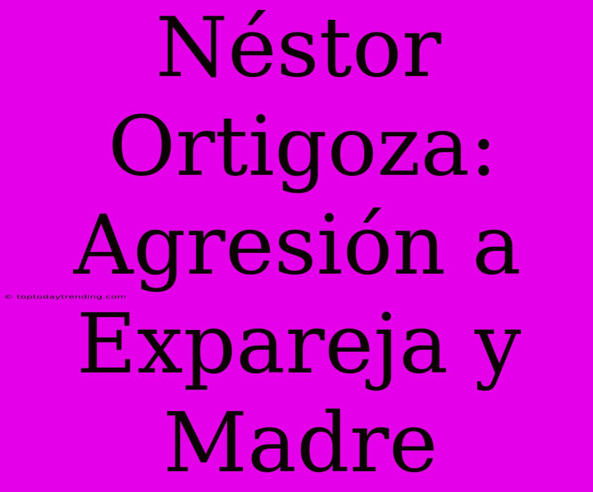 Néstor Ortigoza: Agresión A Expareja Y Madre