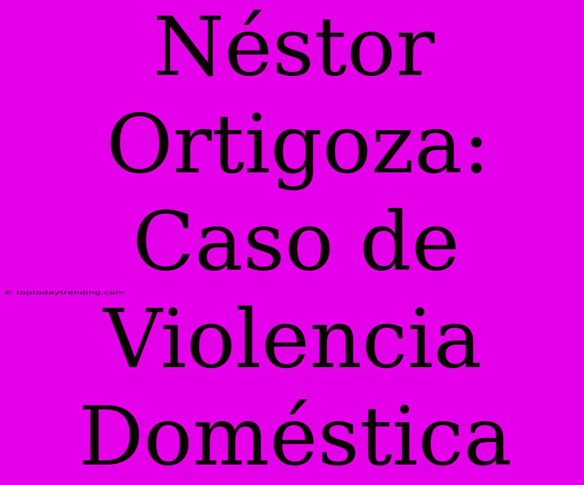 Néstor Ortigoza: Caso De Violencia Doméstica