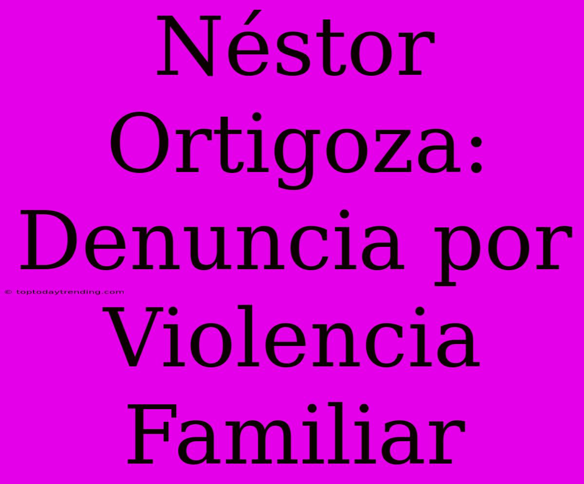 Néstor Ortigoza: Denuncia Por Violencia Familiar