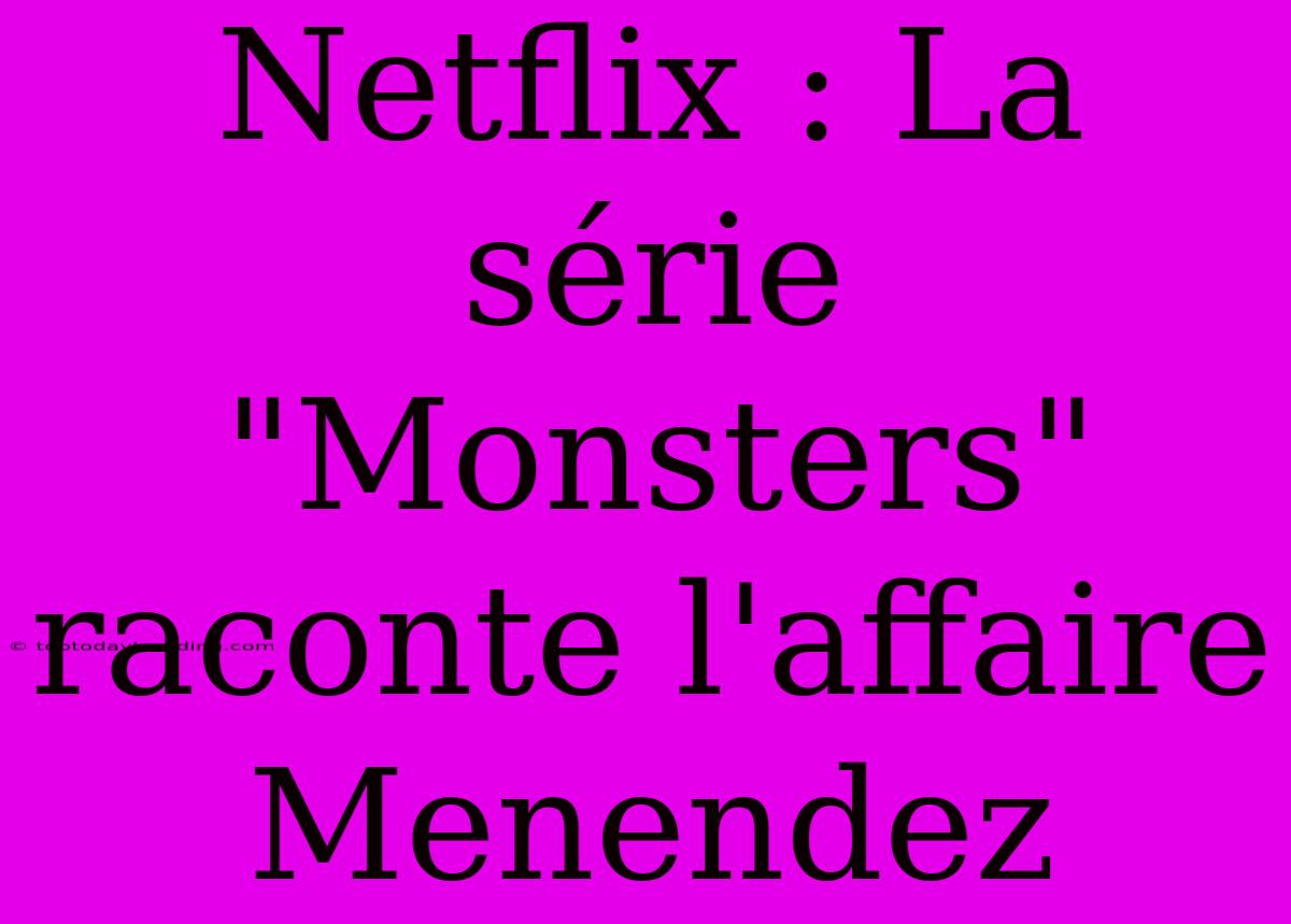 Netflix : La Série 