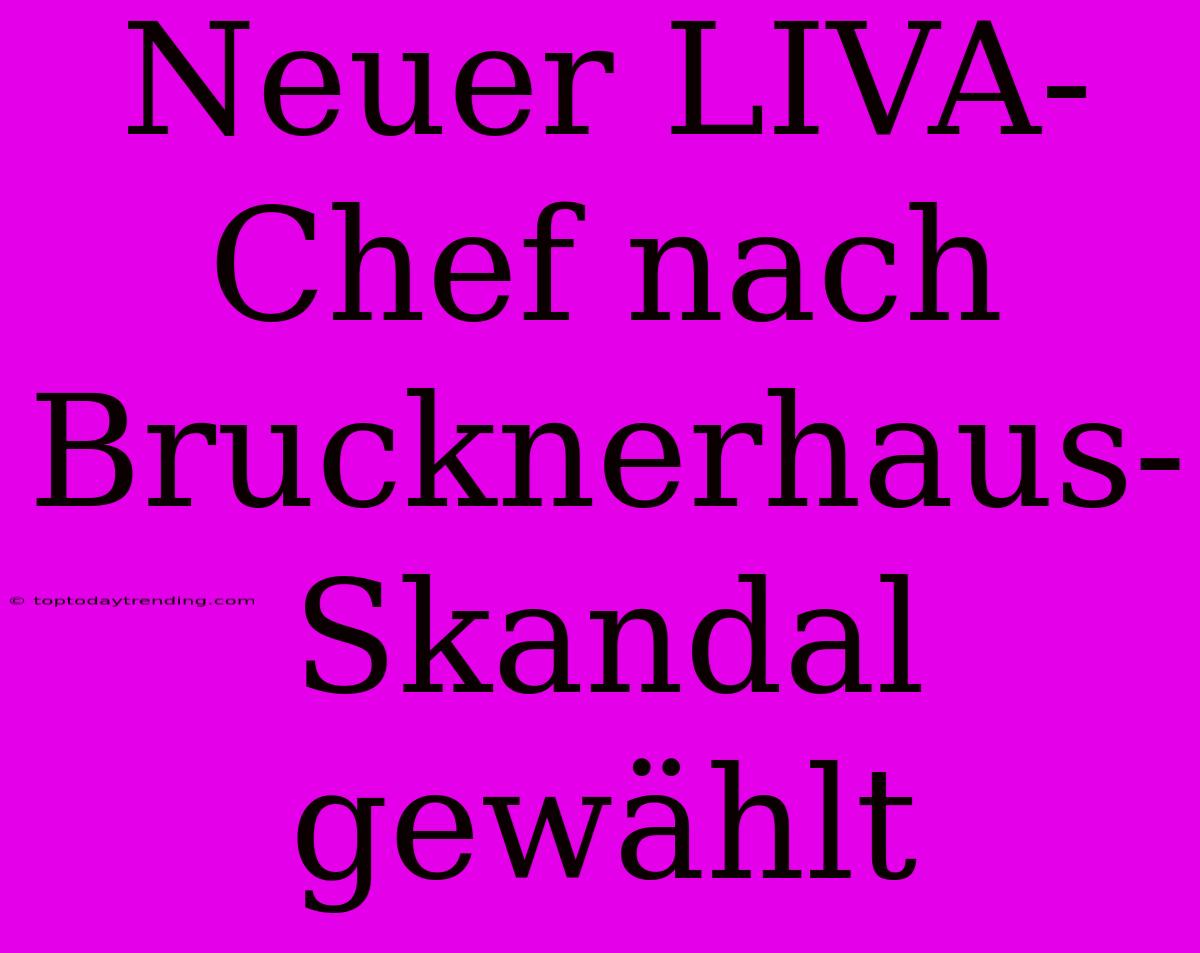 Neuer LIVA-Chef Nach Brucknerhaus-Skandal Gewählt