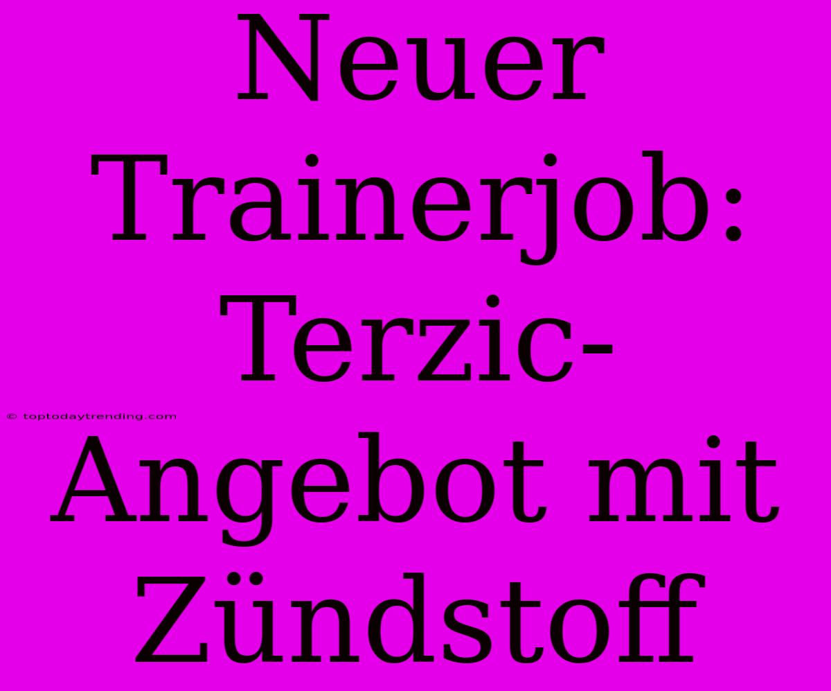 Neuer Trainerjob: Terzic-Angebot Mit Zündstoff