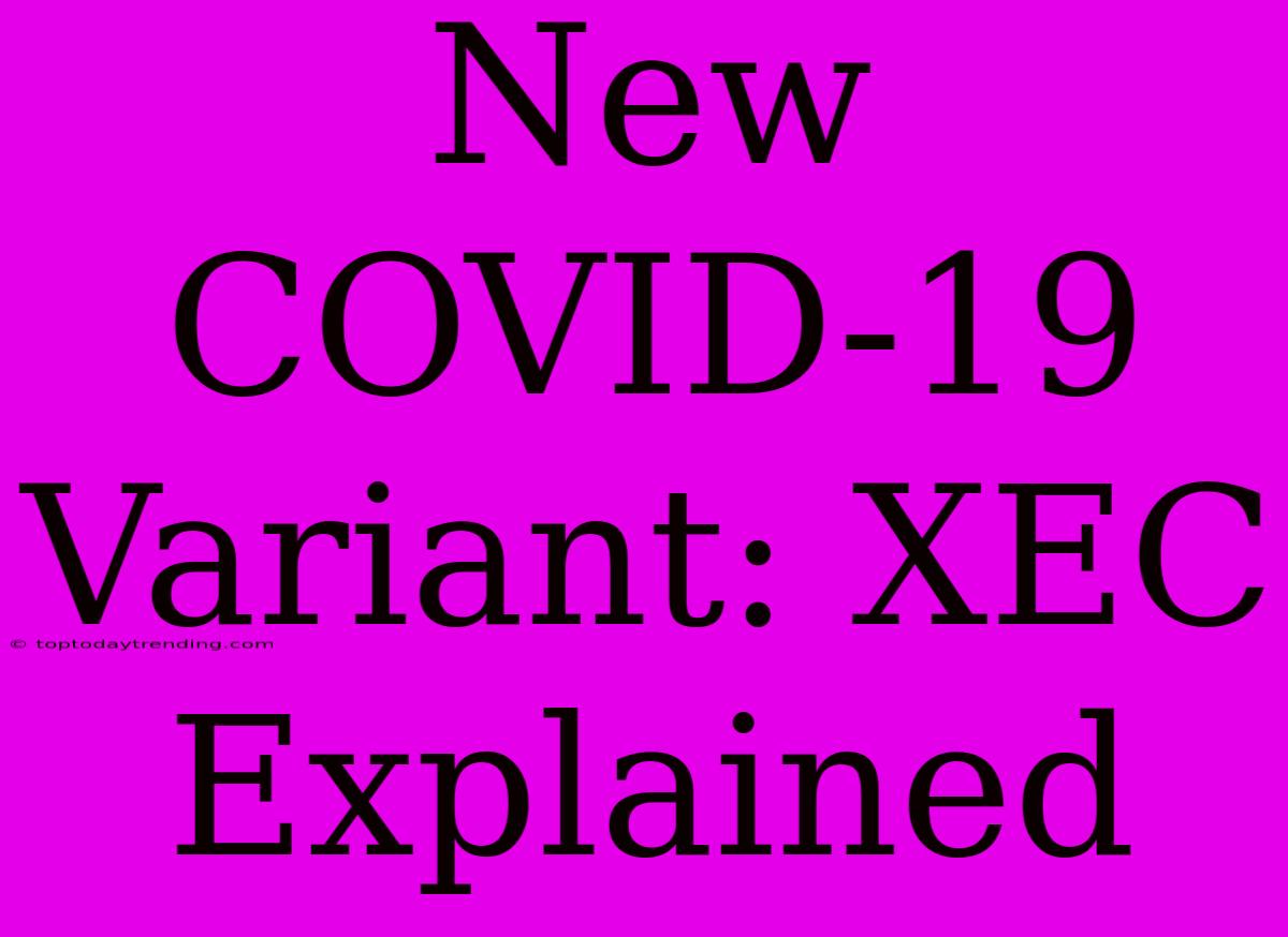 New COVID-19 Variant: XEC Explained