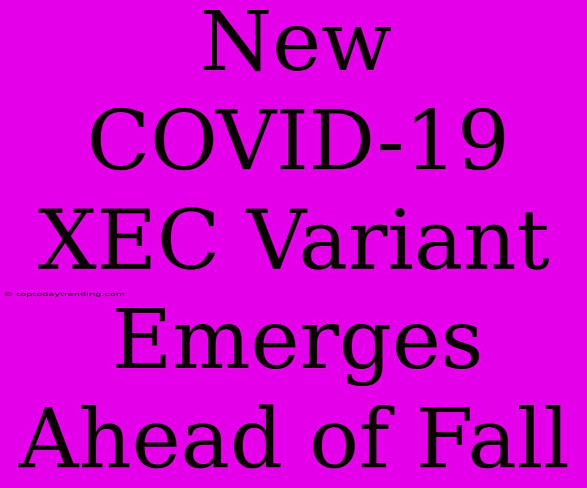 New COVID-19 XEC Variant Emerges Ahead Of Fall