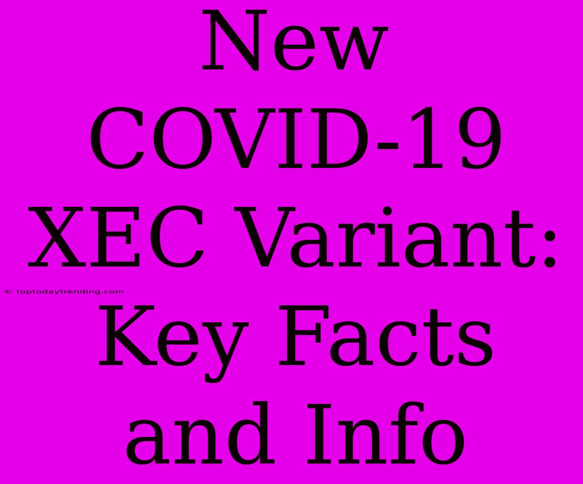 New COVID-19 XEC Variant: Key Facts And Info