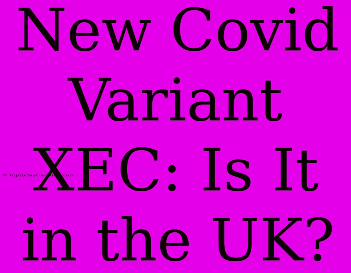 New Covid Variant XEC: Is It In The UK?