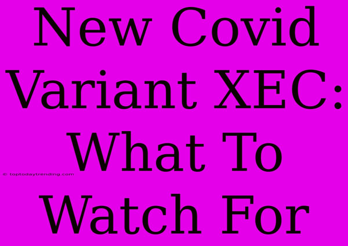 New Covid Variant XEC: What To Watch For