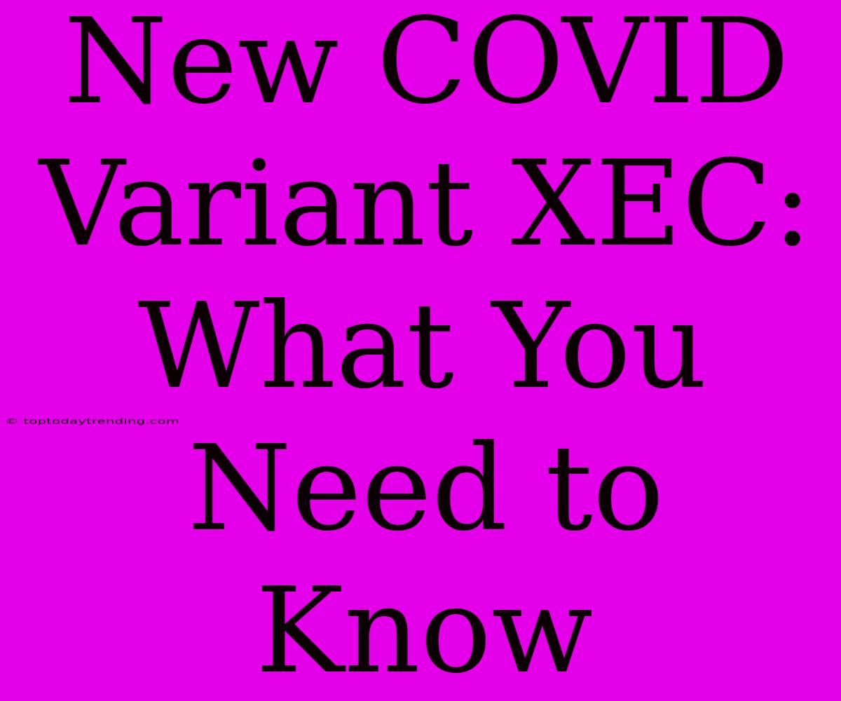 New COVID Variant XEC: What You Need To Know