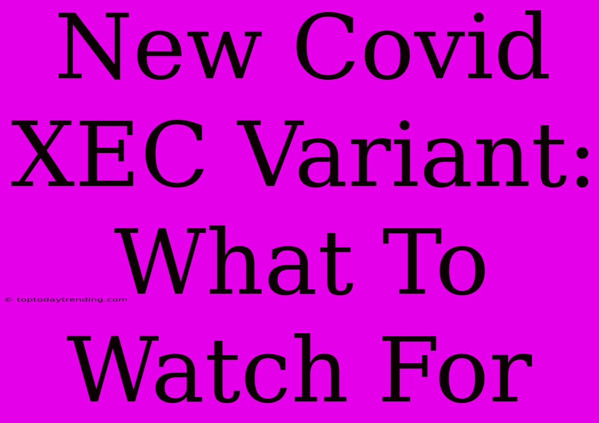 New Covid XEC Variant: What To Watch For