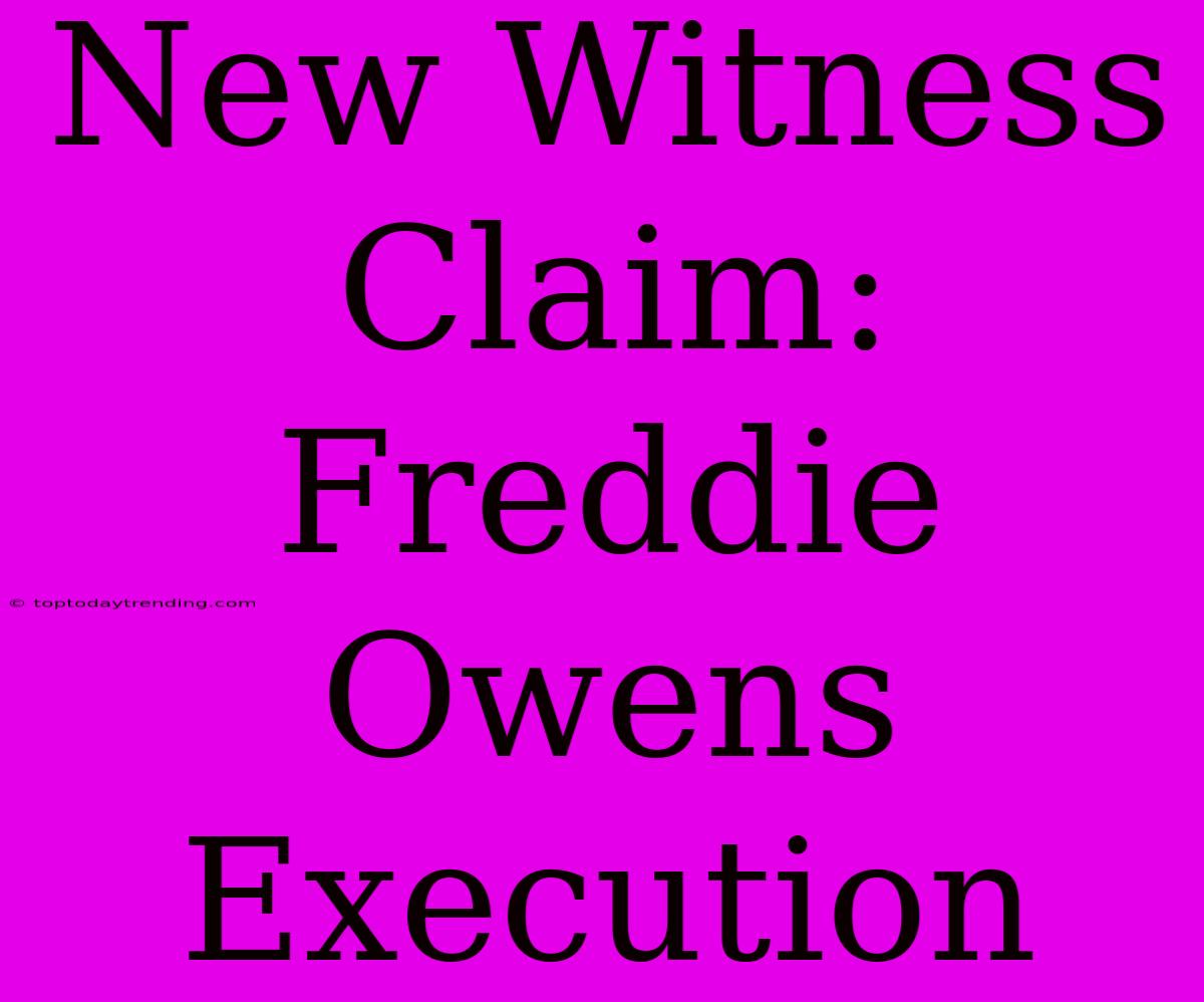 New Witness Claim: Freddie Owens Execution