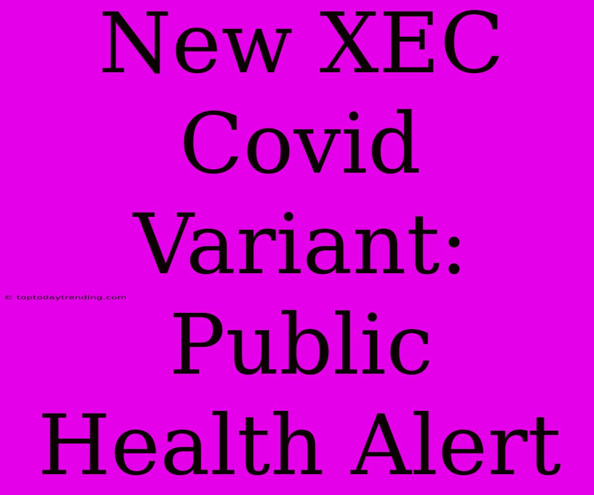 New XEC Covid Variant:  Public Health Alert