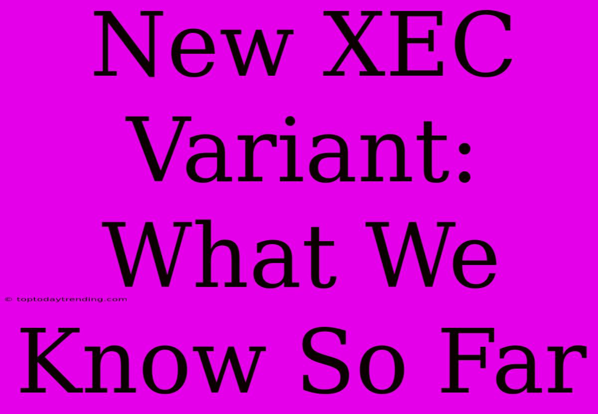 New XEC Variant: What We Know So Far