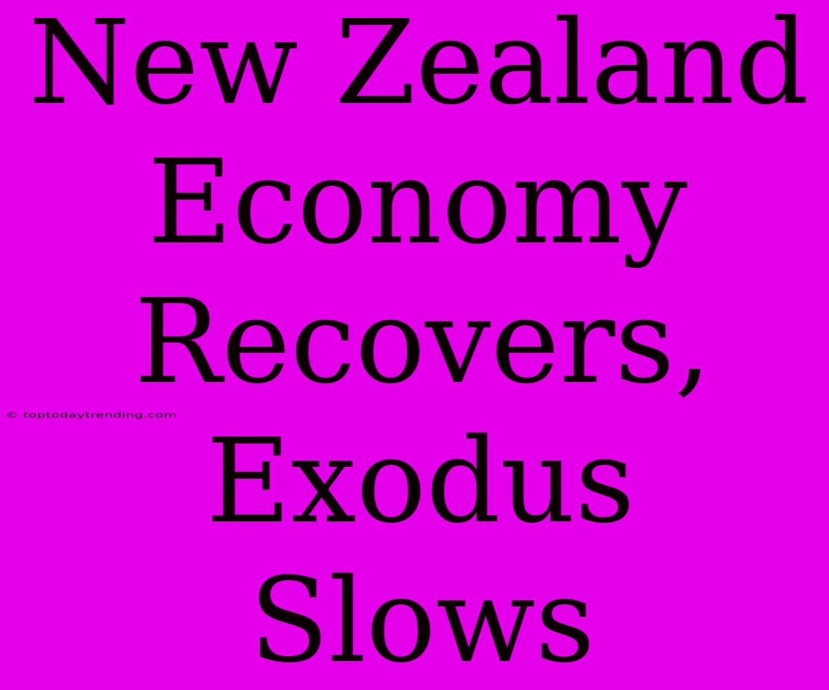 New Zealand Economy Recovers, Exodus Slows