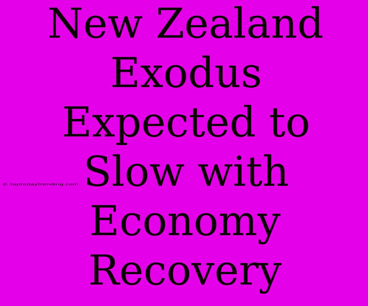 New Zealand Exodus Expected To Slow With Economy Recovery