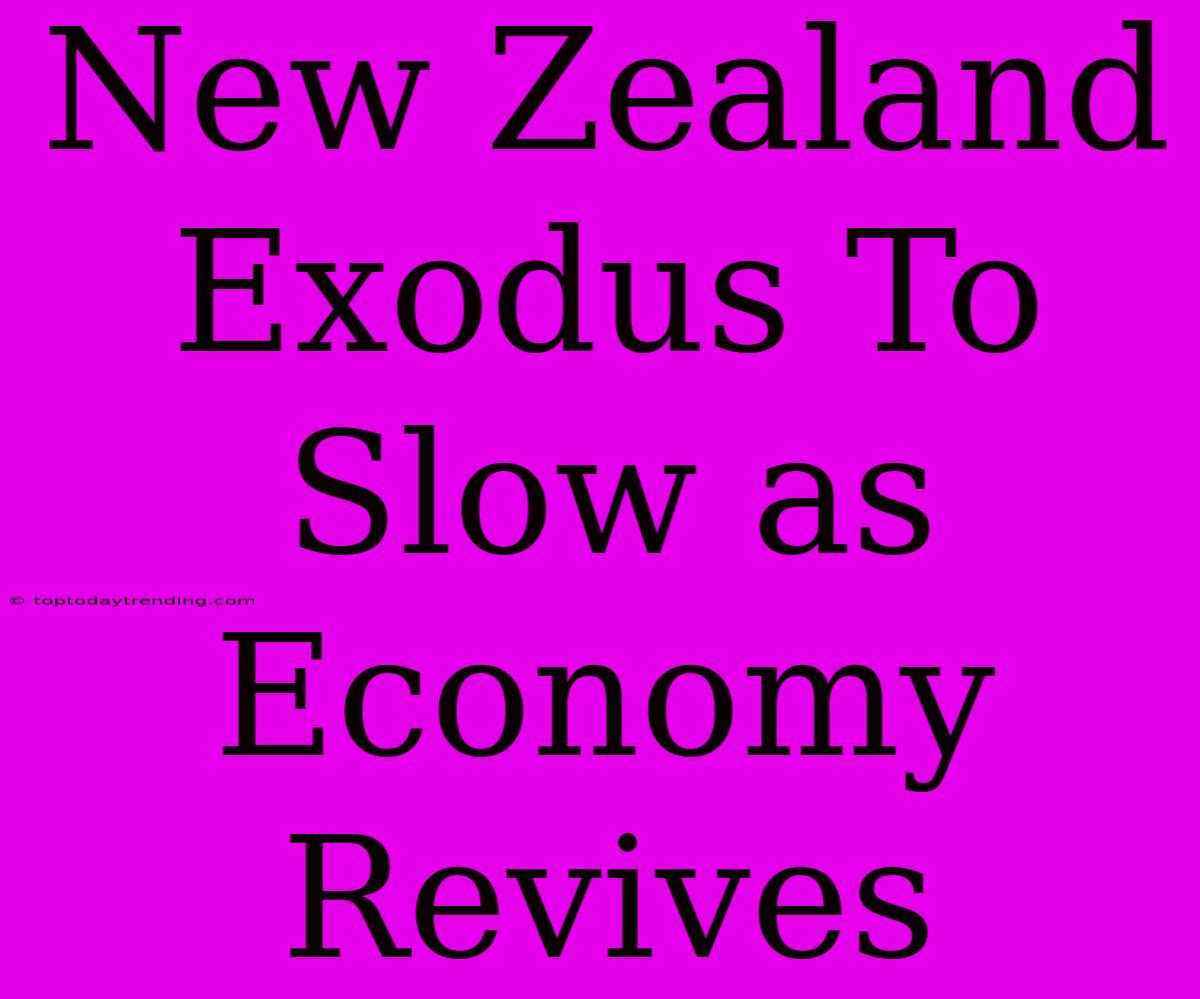 New Zealand Exodus To Slow As Economy Revives