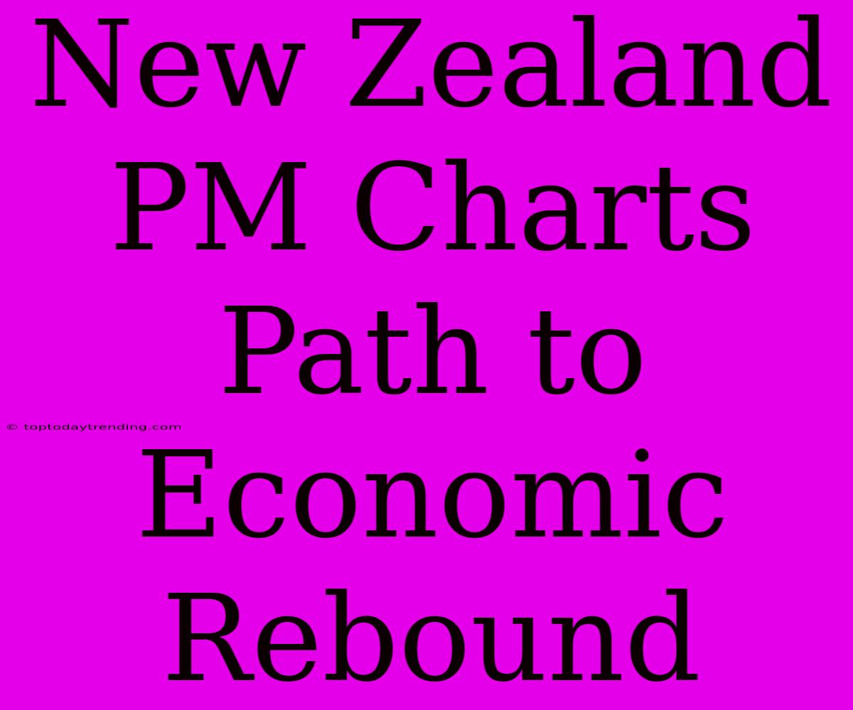 New Zealand PM Charts Path To Economic Rebound