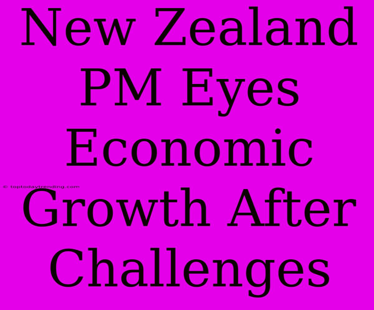 New Zealand PM Eyes Economic Growth After Challenges